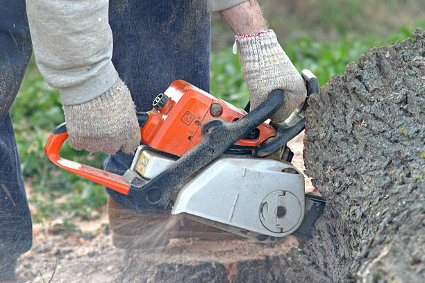 Soil Testing and Treatment in Earlimart, CA